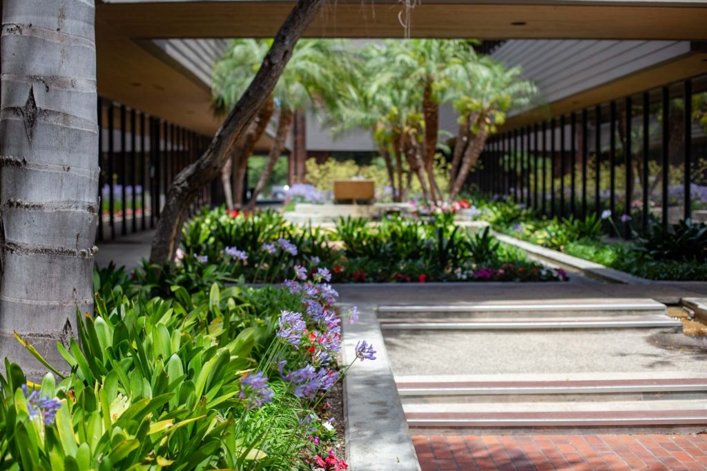 Laguna Niguel Smiles Dentistry Laguna Niguel Dentist